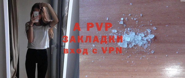 амф Алексин