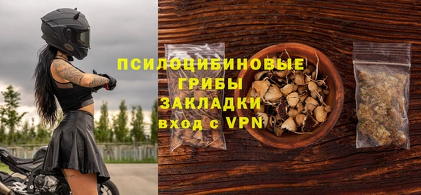 амф Алексин