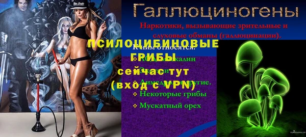 амф Алексин