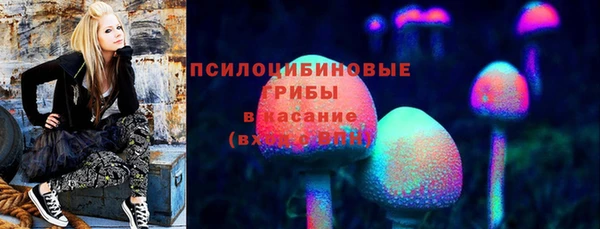 амф Алексин