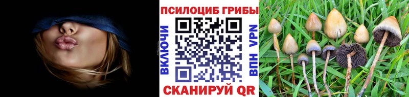 магазин  наркотиков  Пушкино  Псилоцибиновые грибы мухоморы 