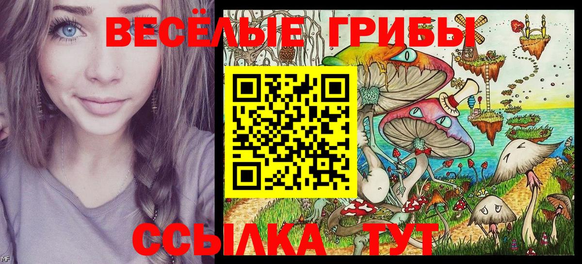 Галлюциногенные грибы Psilocybe Пушкино