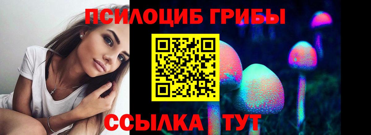 Пушкино  Галлюциногенные грибы прущие грибы  Вход с VPN  Галлюциногенные грибы Psilocybe 